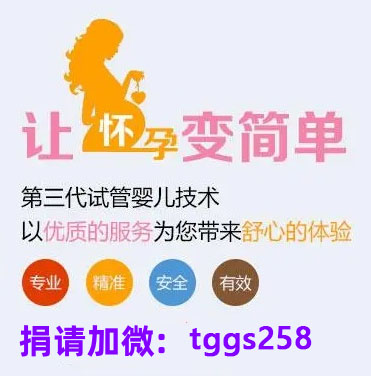 公众号